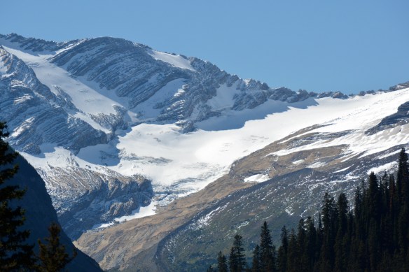 Lin and Michael's Photos