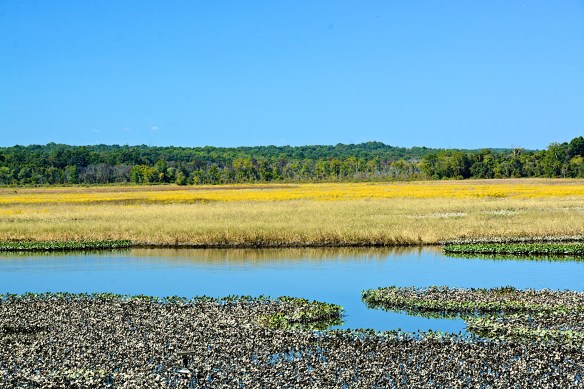 Lin and Michael's Photos