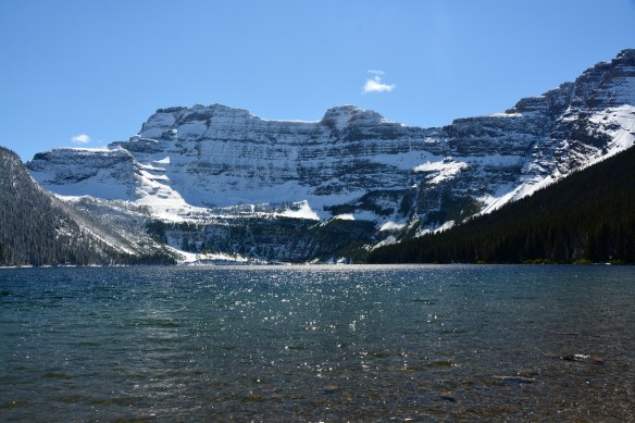 Lin and Michael's Photos