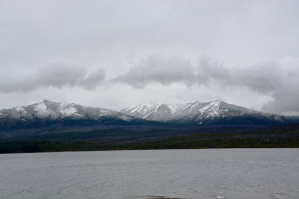 Lin and Michael's Photos