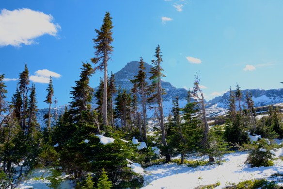 Lin and Michael's Photos