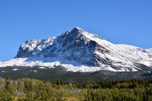 Lin and Michael's Photos