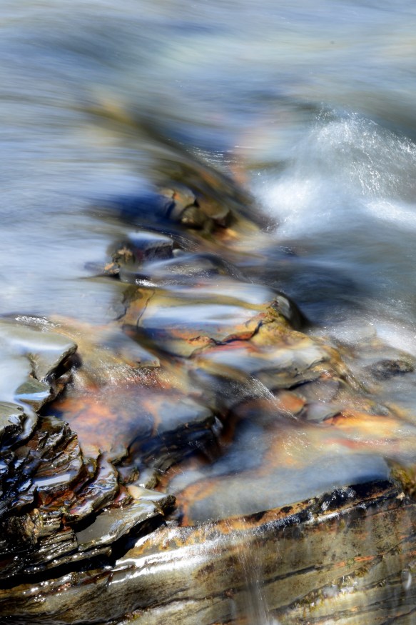 Lin and Michael's Photos