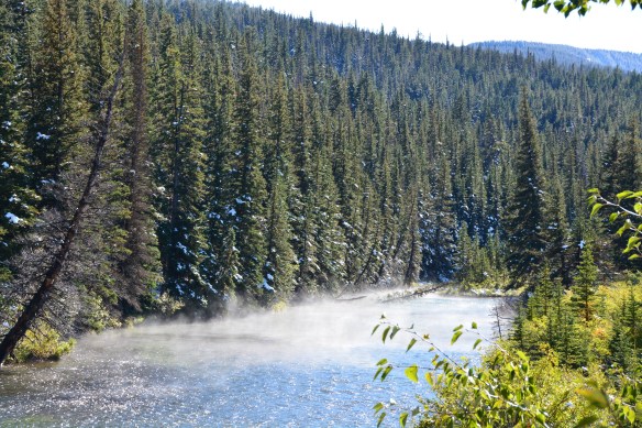 Lin and Michael's Photos