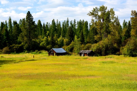 Lin and Michael's Photos