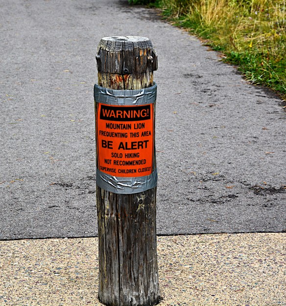 Caution - Mountain Lion