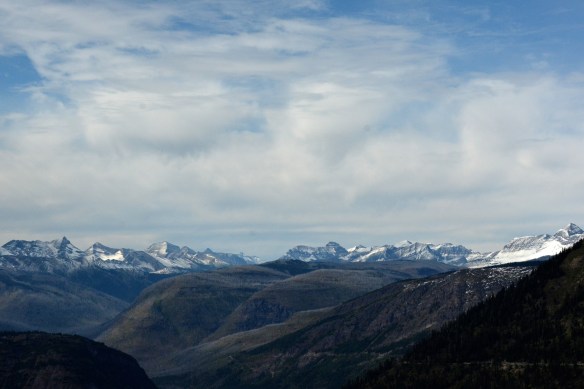 Lin and Michael's photos