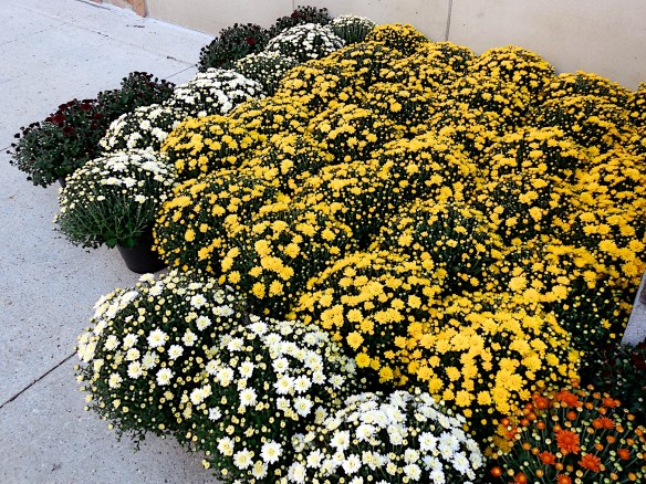 Lin and Michael's Photos