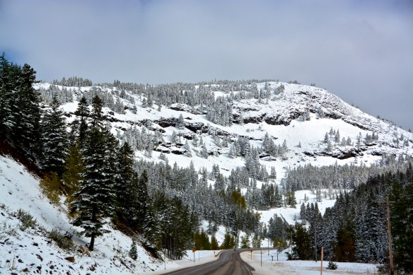 Lin and Michael's Photos