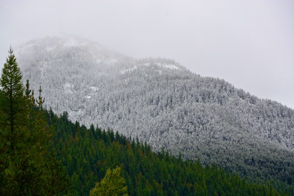 Lin and Michael's Photos