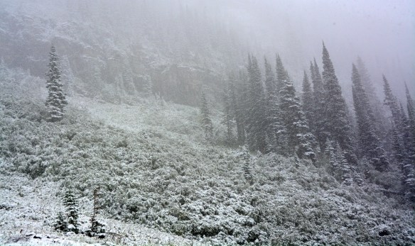 Lin and Michael's Photos