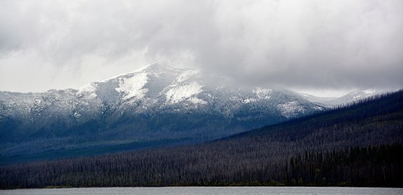 Lin and Michael's Photos