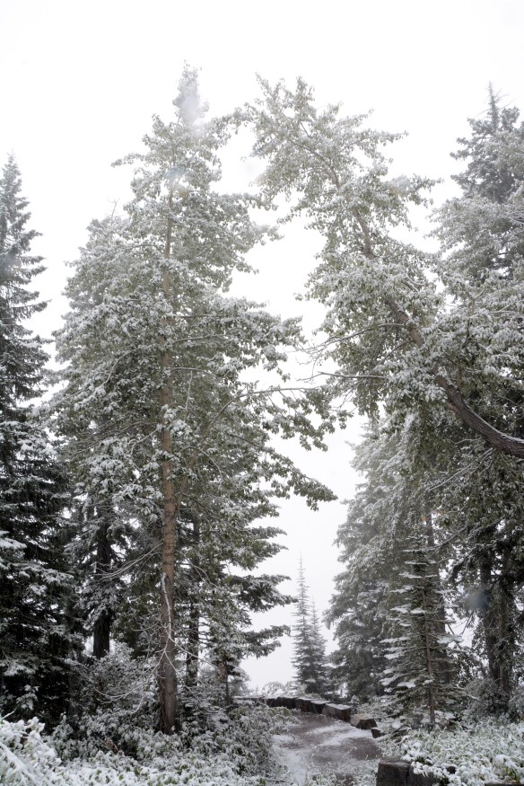 Lin and Michael's Photos