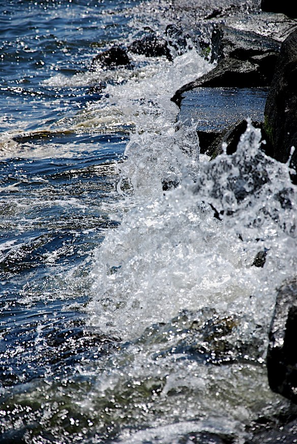 Lin and Michael's Photos