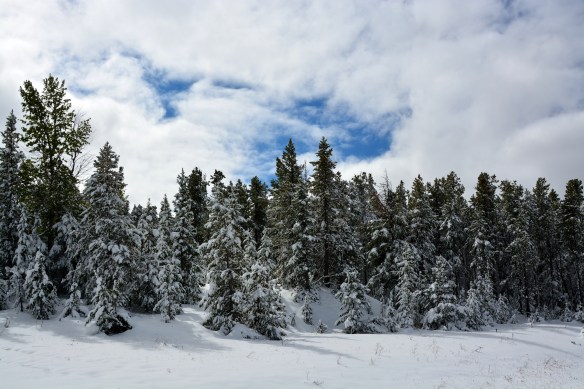 Lin and Michael's Photos