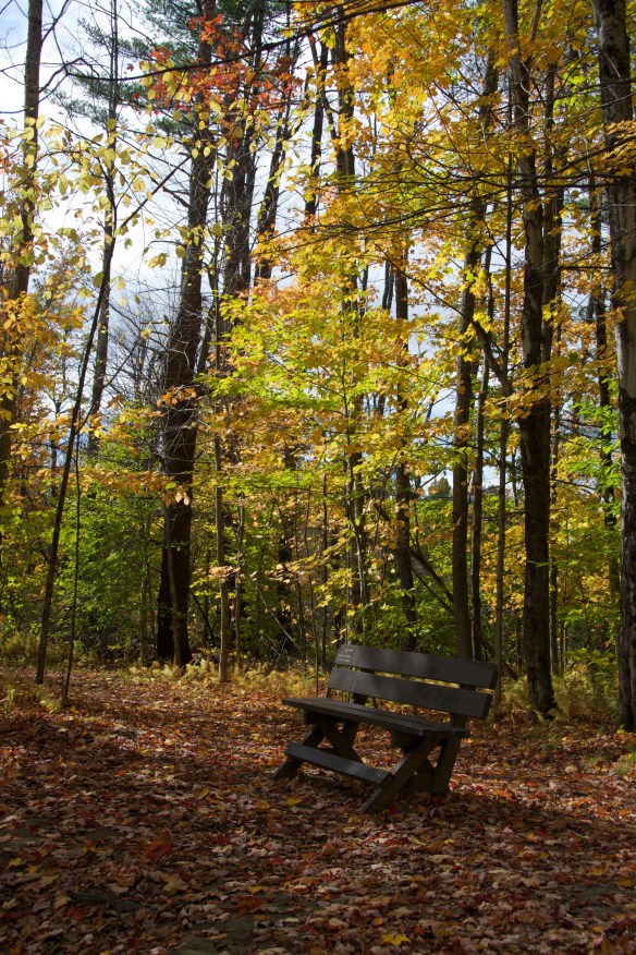 Lin and Michael's Photos