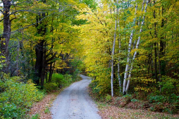 Lin and Michaels Photos