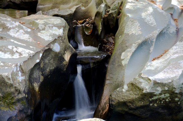 Lin and Michael's Photos