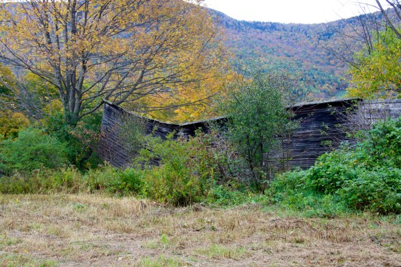 Lin and Michael's Photos