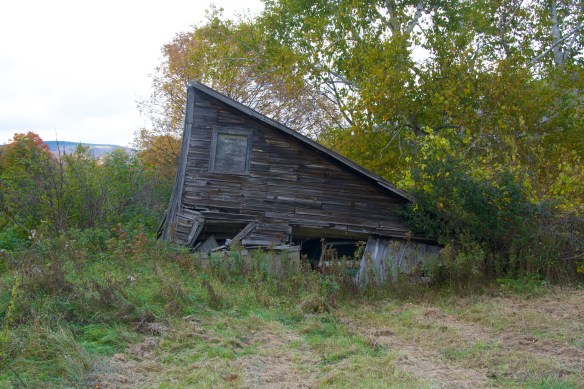 Lin and Michael's Photos