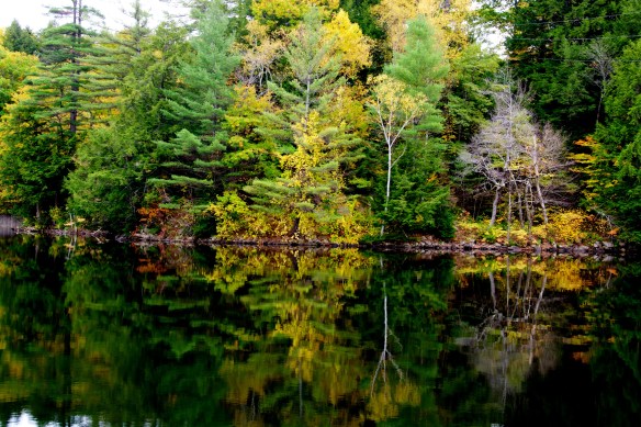 Lin and Michael's Photos