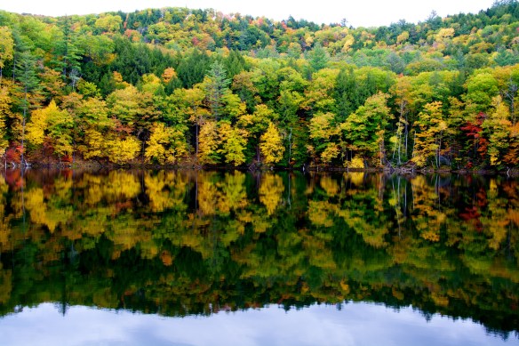 Lin and Michael's Photos