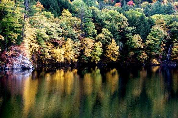 Lin and Michael's Photos