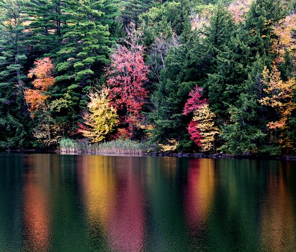 Lin and Michael's Photos