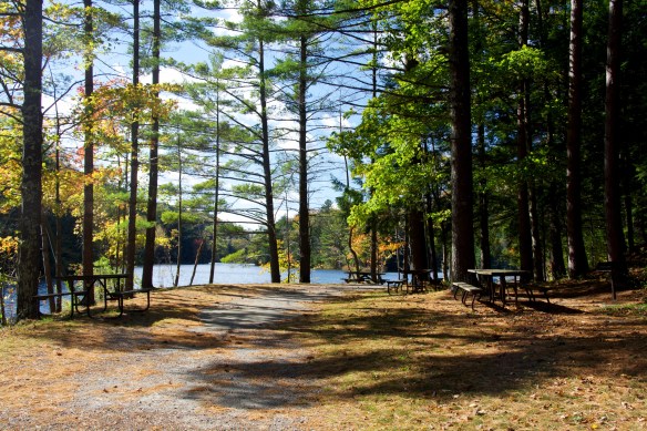 Lin and Michael's Photos