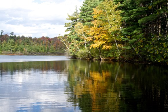 Lin and Michael's Photos