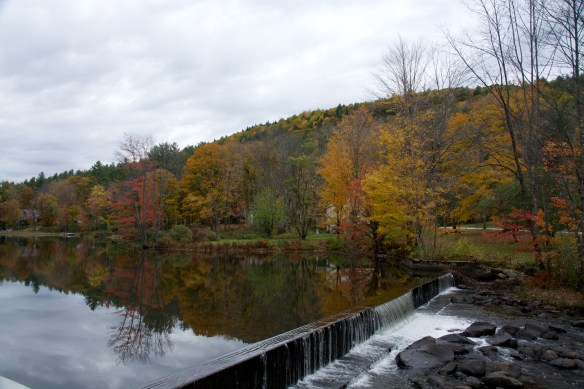 Lin and Michael's Photos