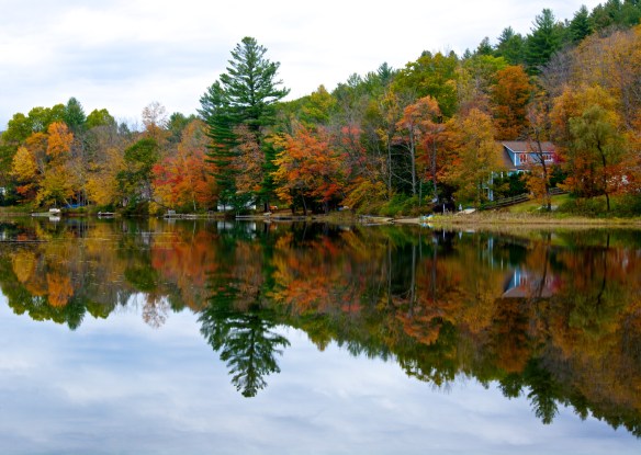 Lin and Michael's Photos