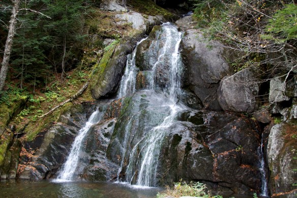 Lin and Michael's Photos