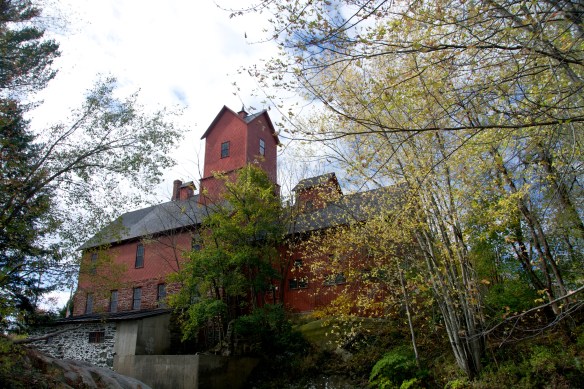 Lin and Michael's Photos