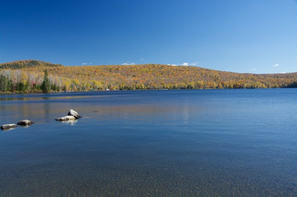 Lin and Michael's Photos