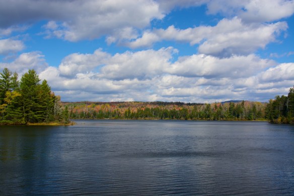 Lin and Michael's Photos