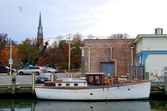 Lin and Michael's Photos