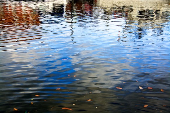 Lin and Michael's Photos