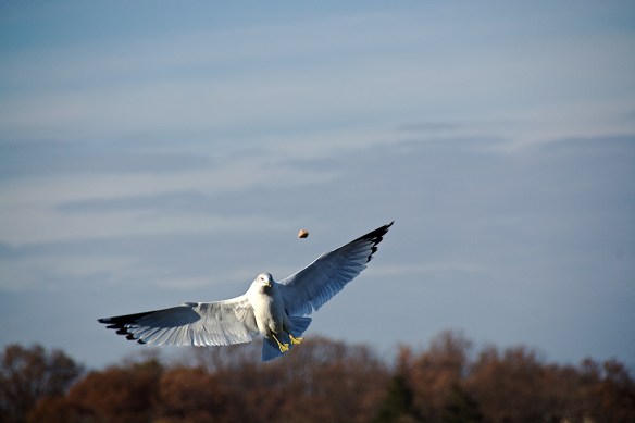 Lin and Michael's Photos