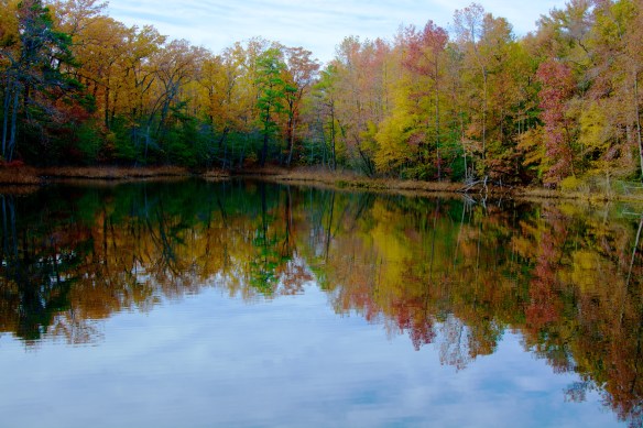 Turtle Pond in the Fall