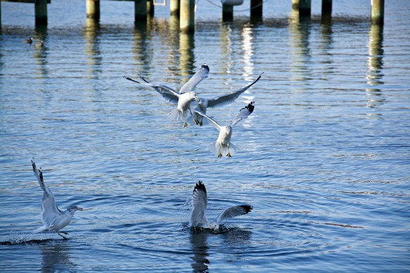 Lin and Michael's Photos