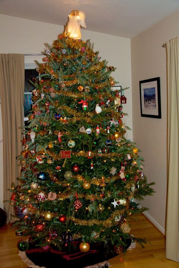 Lin and Michael's Photos