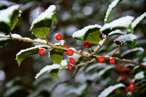 Lin and Michael's Photos