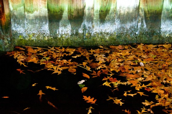 Lin and Michael's Photos