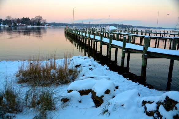 Lin and Michael's Photos