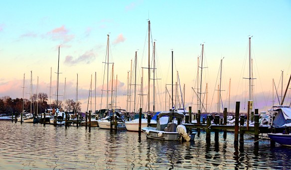 Lin and Michael's Photos