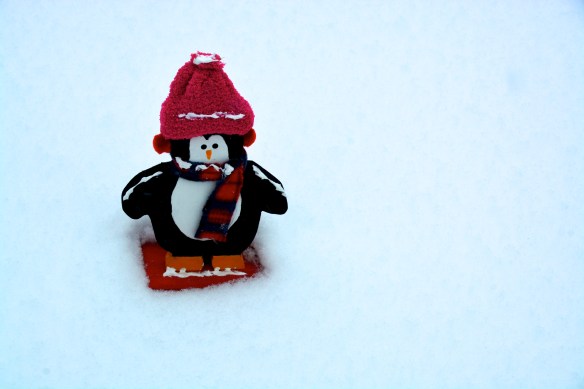 Lin and Michael's Photos