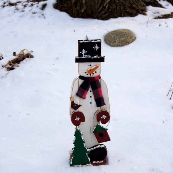 Lin and Michael's Photos