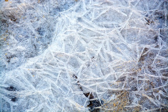 Lin and Michael's Photos