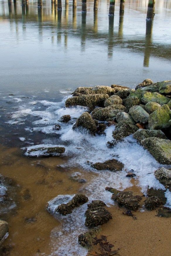 Lin and Michael's Photos